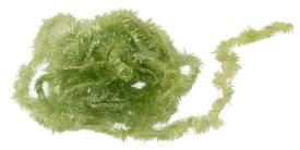 Fasna Translucent Fritz 10MM
