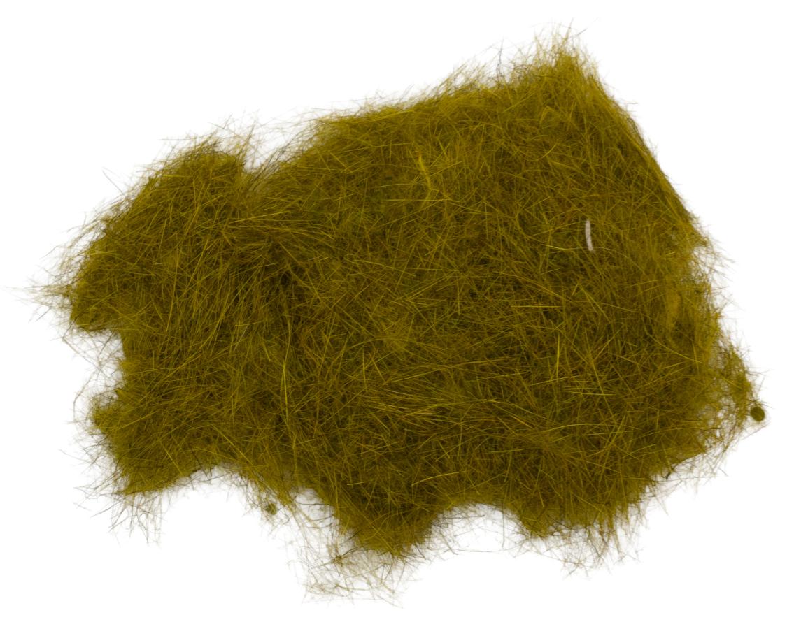 06 - Olive