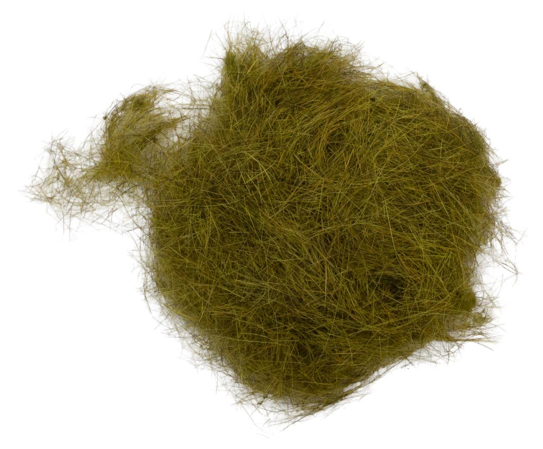 06 - Olive