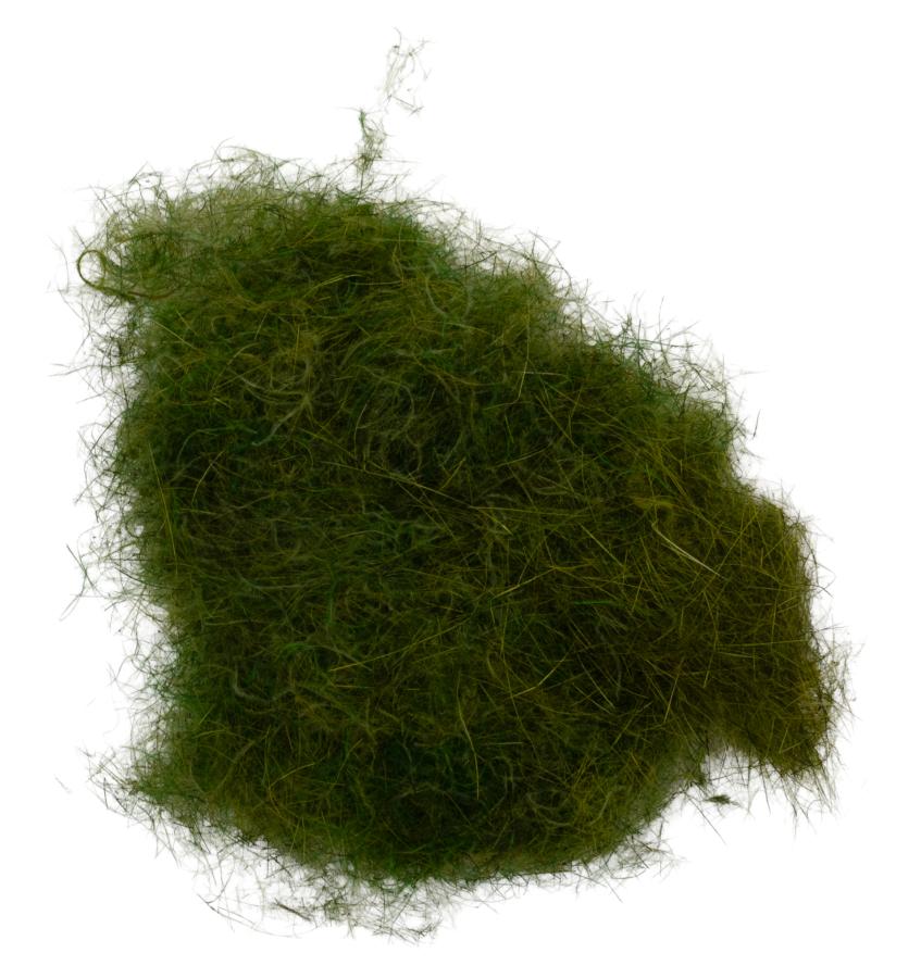 23 - Olive