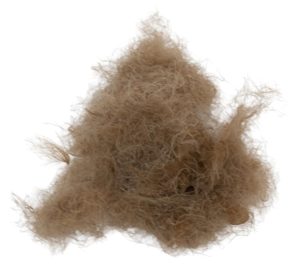 06 - Brown