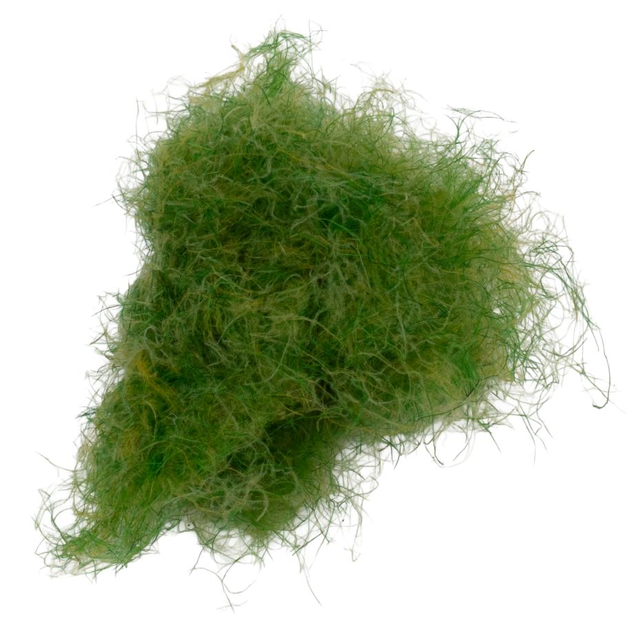 23 - Olive