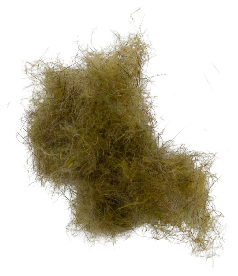 05 - Olive